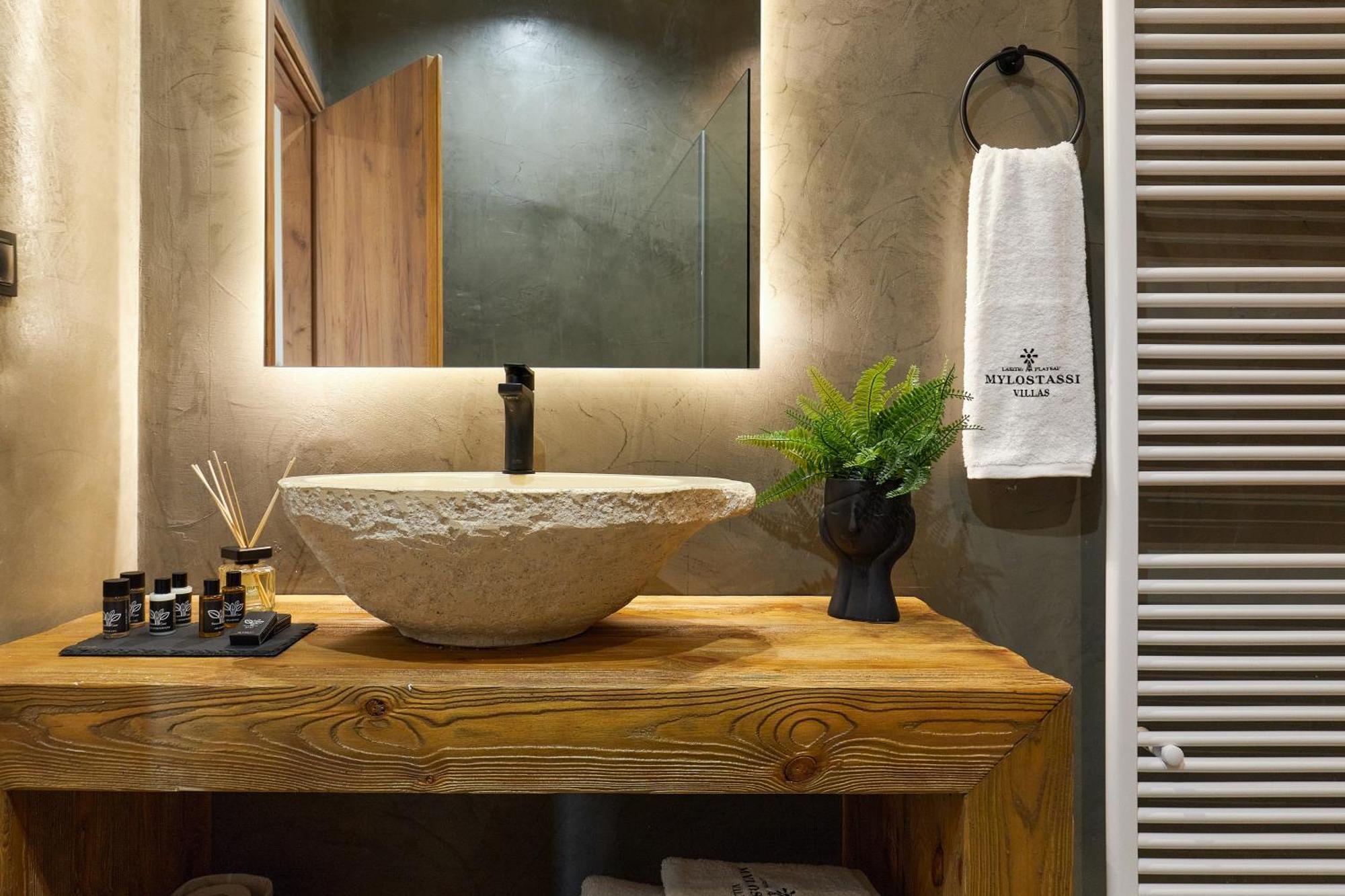 Mylostassi Villas With Balcony Plunge Pool Plati  Ngoại thất bức ảnh